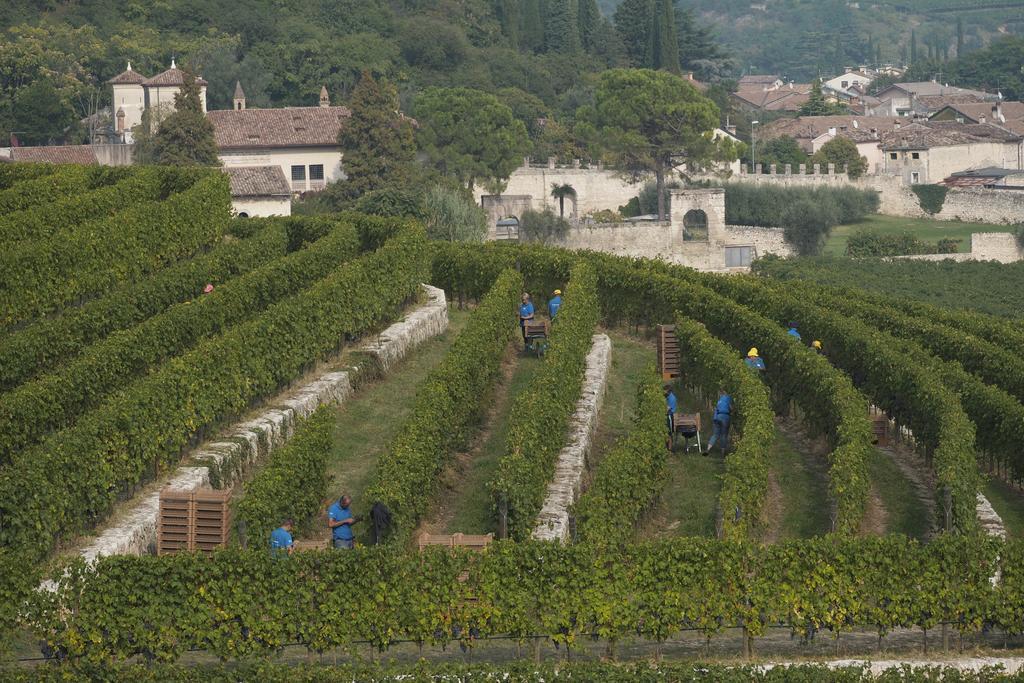Della Torre Farm stay Fumane